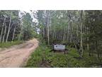 TBD ROY SMITH ROAD, Central City, CO 80427 Land For Sale MLS# 5327349