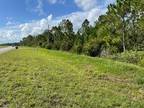 Saint Cloud, Osceola County, FL Undeveloped Land for sale Property ID: 414201243