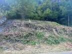 Plot For Rent In Tazewell, Virginia