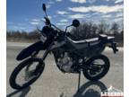 2024 Kawasaki KLX 300