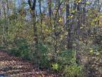 Bluff City, Sullivan County, TN Undeveloped Land, Homesites for sale Property
