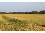Louise, Wharton County, TX Farms and Ranches, Hunting Property for sale Property