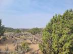 Aztec, San Juan County, NM Undeveloped Land for sale Property ID: 416942419