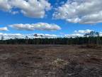 Waycross, Ware County, GA Recreational Property, Timberland Property