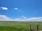 County Road 160 (Parcel 11 & 12), Agate, CO 80101 - MLS 7561495