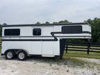 2011 Custom Hawk Horse Trailer