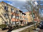 2520 W Berwyn Ave #2E Chicago, IL 60625 - Home For Rent