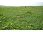 Deer Trail, Arapahoe County, CO Farms and Ranches, Undeveloped Land