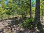 Plot For Sale In Sunbright, Tennessee