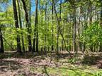 Plot For Sale In Lynchburg, Tennessee
