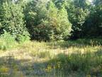 Plot For Sale In Helenwood, Tennessee