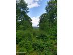 445 SUMMIT WOODS RD, Roaring Brook Township, PA 18444 Land For Sale MLS#