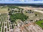 Plot For Sale In Babson Park, Florida