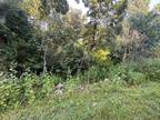 Plot For Sale In Parrottsville, Tennessee