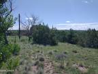 Concho, Apache County, AZ Homesites for sale Property ID: 338240001