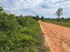 Plot For Sale In Evergreen, Alabama