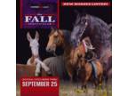 the FALL Spectacularâ¦ - online auction ending Monday | September 25th