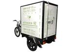 Electric Cargo Box Delivery Bike Trike Tricycle with Battery and Charger