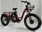 Fat Tire Electric Trike Tricycle 3 wheeled bike