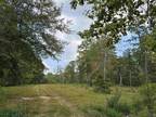 19128 AYDELL LN, French Settlement, LA 70733 Land For Sale MLS# [phone removed]