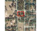 Plot For Sale In Dunnellon, Florida - Opportunity!