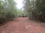 Columbia, Marion County, MS Recreational Property, Timberland Property