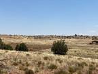 Concho, Apache County, AZ Farms and Ranches for sale Property ID: 417257080