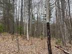 Loon Lake, Franklin County, NY Undeveloped Land for sale Property ID: 412739838