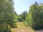 31381 WEJACK RD, Cass Lake, MN 56633 Land For Sale MLS# 6425843