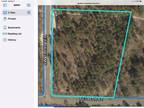 Morriston, Levy County, FL Undeveloped Land for sale Property ID: 412334049