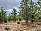 Orofino, Clearwater County, ID Recreational Property, Hunting Property for sale