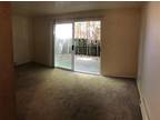 5035 15th Ave NE unit 103 Seattle, WA 98105 - Home For Rent