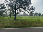 Nacogdoches, Nacogdoches County, TX Undeveloped Land for sale Property ID: