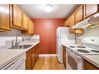 Condo For Sale In Jamaica Plain, Massachusetts