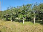 May, Brown County, TX Undeveloped Land, Homesites for sale Property ID: