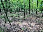Old Joe, Baxter County, AR Undeveloped Land for sale Property ID: 417361869