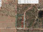 Morriston, Levy County, FL Undeveloped Land for sale Property ID: 412334055