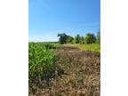 Swartz Creek, Genesee County, MI Undeveloped Land, Homesites for sale Property