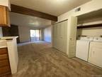 Condo For Rent In Lakewood, Colorado