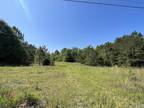 Plot For Sale In Enterprise, Alabama