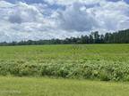 Cerro Gordo, Columbus County, NC Farms and Ranches, Lakefront Property