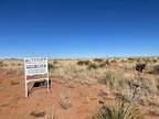 Logan, Quay County, NM Farms and Ranches for sale Property ID: 415711610