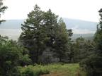 Angel Fire, Colfax County, NM Horse Property for sale Property ID: 412388948