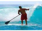 Business For Sale: Stand Up Paddle Boards Distributor For Sale