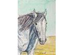 ACEO original watercolor painting. Napping white horse. 3.5 by 2.5 inches