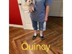 Quincy