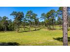 184 YOUNGS RD, Vass, NC 28394 Land For Sale MLS# 100396374