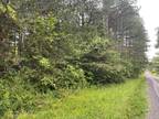 0 STRONG ROAD, Trumansburg, NY 14886 Land For Sale MLS# 411300