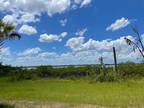 Parrish, Manatee County, FL Undeveloped Land for sale Property ID: 409575355