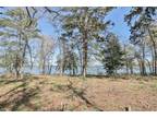 3102 Shadow Pine Lot 1 Drive, Larue, TX 75770 603634884